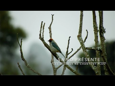 SAND - Les oiseaux ne chantent plus (Clip Officiel)