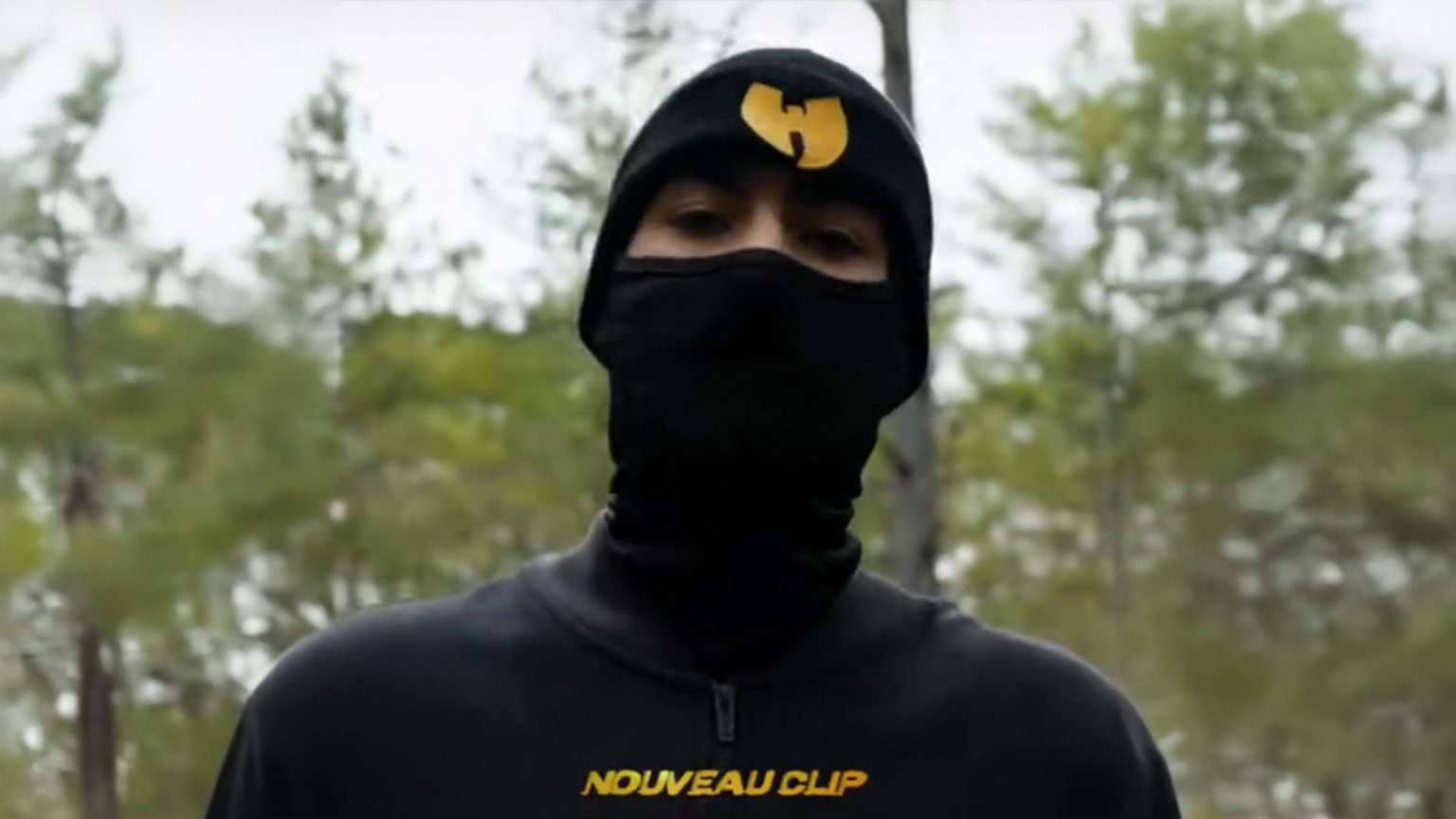 Huubz, surpuissant dans « Dragon Ball GT » Photo de Huubz, surpuissant dans « Dragon Ball GT »